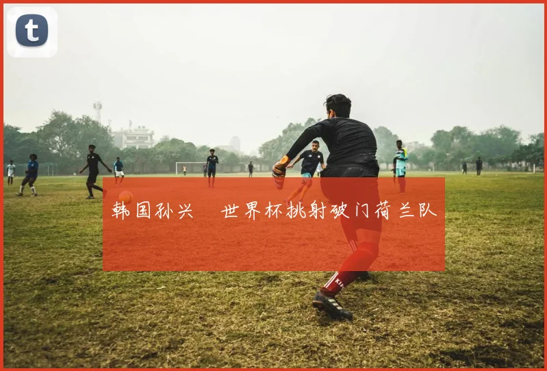 韩国孙兴慜世界杯挑射破门荷兰队