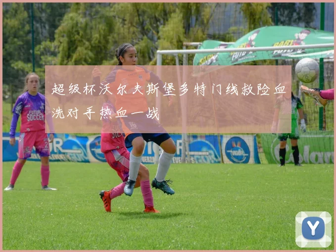 超级杯沃尔夫斯堡多特门线救险血洗对手热血一战